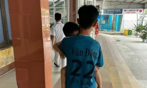 Bé Trai 4 Tuổi ở Nam Định Hồi Phục Sau Tai Nạn, Vụ Cấp Cứu Gây Tranh Cãi Được Điều Tra